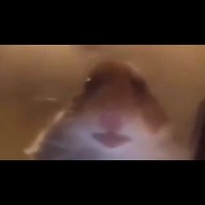 Meet your Posher, Eduardo